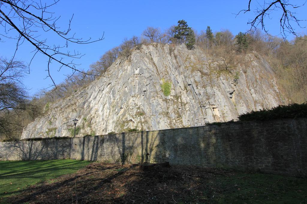 Chateau Cardinal Durbuy Dış mekan fotoğraf